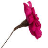 Vickerman 6" Natural Botanicals Maize Dahlia on Wire Stem - view 5 of 5