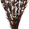 28" Moti Stick Bleached 20/pk - view 5 of 6