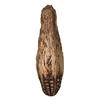 2.8" Mahogany Pods Natural 100/pk - view 1 of 6