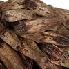 2.8" Mahogany Pods Natural 100/pk - view 4 of 6
