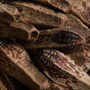 2.8" Mahogany Pods Natural 100/pk - view 5 of 6