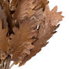 20" Oak Leaf Natural Ting 100/pk - view 5 of 8