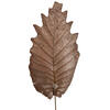 20" Oak Leaf Natural Ting 100/pk - view 3 of 8
