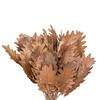 20" Oak Leaf Natural Ting 100/pk - view 8 of 8