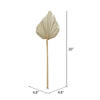 16-20" x 5" Dried Nat Palm Spear 50/pk - view 7 of 7