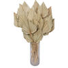 16-20" x 5" Dried Nat Palm Spear 50/pk - view 6 of 7