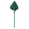 Vickerman Natural Botanicals Dried Palm Spear - view 1 of 2
