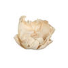 Vickerman Natural Botanicals 2.75" Palm Cap - view 1 of 7