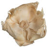 Vickerman Natural Botanicals 2.75" Palm Cap - view 4 of 7
