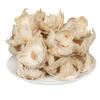 Vickerman Natural Botanicals 2.75" Palm Cap - view 6 of 7