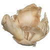 Vickerman Natural Botanicals 2.75" Palm Cap - view 3 of 7