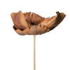 Vickerman Natural Botanicals 2.75" Palm Cap, on Stem - view 4 of 8
