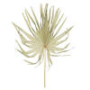 32-40" Natural Palm Leaf Uncut 12/bg - view 1 of 5