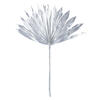 Vickerman 13.75-19.5" Natural Botanicals Dried Palm Sun Spear - view 1 of 3