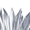 Vickerman 13.75-19.5" Natural Botanicals Dried Palm Sun Spear - view 2 of 3