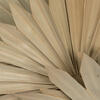 20" x 15" Dried Nat Palm Sun Spr 50/pk - view 4 of 7