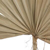 20" x 15" Dried Nat Palm Sun Spr 50/pk - view 5 of 7