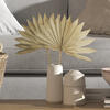 20" x 15" Dried Nat Palm Sun Spr 50/pk - view 2 of 7
