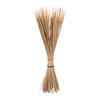 24" Reed Spadix Pencil 150/pk - view 1 of 7