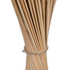 24" Reed Spadix Pencil 150/pk - view 7 of 7