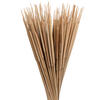 24" Reed Spadix Pencil 150/pk - view 3 of 7
