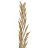 27" Rahul Stick Natural stems 8/bu - view 2 of 5