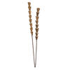 24" Natural Sola Rajani Skin Stick 24/bg - view 1 of 4