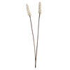 24" Natural Sola Berries Stick 24/bg - view 1 of 3