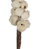 24" Natural Sola Berries Stick 24/bg - view 3 of 3