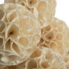 Vickerman Natural Botanicals Sola Crape Ball - view 3 of 4