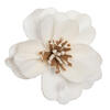 Vickerman Anemone Sola Flower - view 1 of 3
