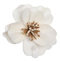 Anemone