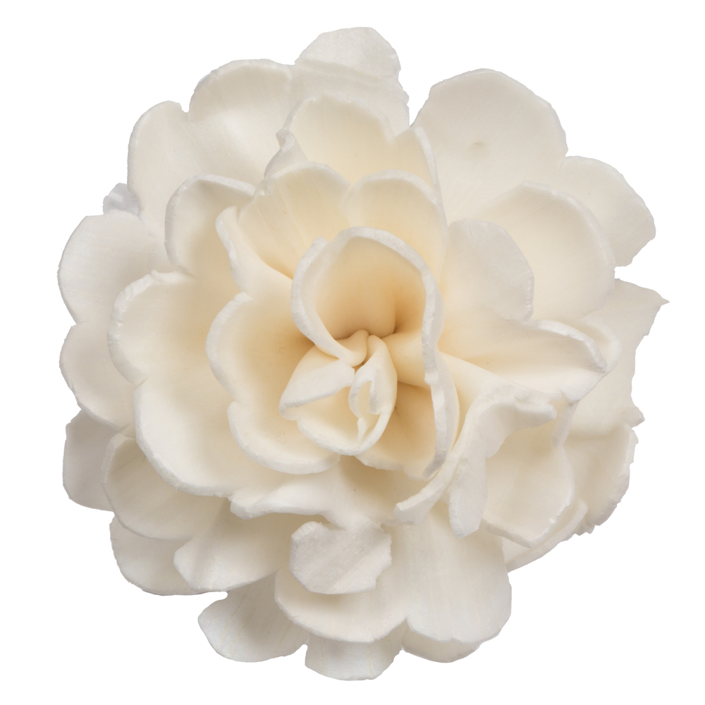 Vickerman Camellia Sola Flower