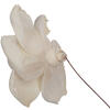 Vickerman Jonquil Sola Flower - view 3 of 4