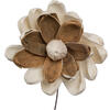 Vickerman 1-3" Natural Botanicals Assorted Natural Dried Sola Flower Head - view 2 of 4