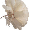 Vickerman Charki Sola Flower - view 4 of 4