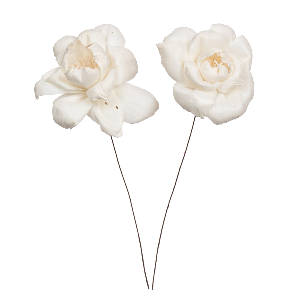Vickerman Rosette Sola Flower