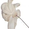 Vickerman Rosette Sola Flower - view 4 of 4