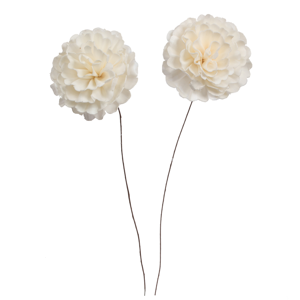 Vickerman Camellia Sola Flower