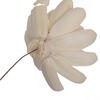 Vickerman Crocus Sola Flower - view 4 of 4