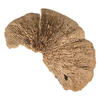 4"-6" Sponge Mushroom Med 50/pk - view 3 of 8