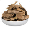 4"-6" Sponge Mushroom Med 50/pk - view 8 of 8