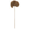 Sponge Mushroom - view 1 of 7
