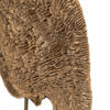 Sponge Mushroom - view 4 of 7