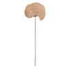 Sponge Mushroom - view 2 of 7