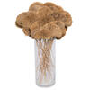 Sponge Mushroom - view 7 of 7