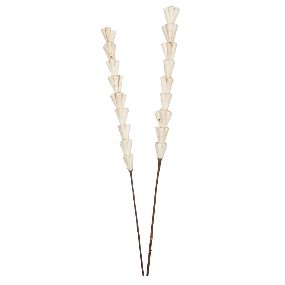 24" Natural Sola Rajani Stick 24/bg