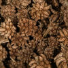 0.8" Star Flower Natural 2 kgs/pk - view 5 of 5