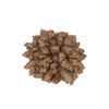 0.8" Star Flower Natural 2 kgs/pk - view 1 of 5