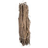 Vickerman Natural Botanicals Sun Palm Leaf - view 4 of 5